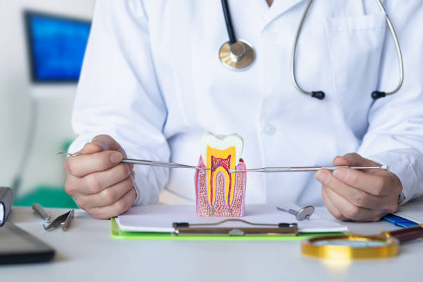 Best Emergency Denture Repair in Huntsville, TN